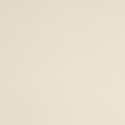 S5GBEB - Gris Beige Brillant 2